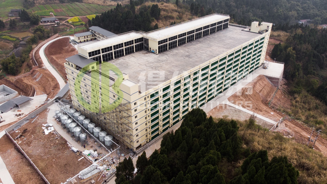 Hvordan forbedre miljøkvaliteten i moderne grisefarmdesign